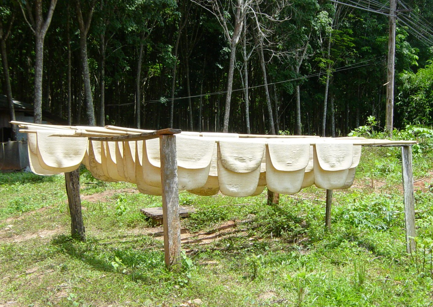 Foam bio-based và đế cao su tự nhiên